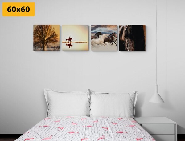 Set obrazů pro milovníky koní