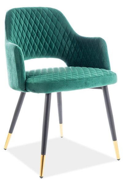 Jídelní židle Franco Velvet, zelená / černá