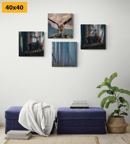 Set obrazů zákoutí lesa