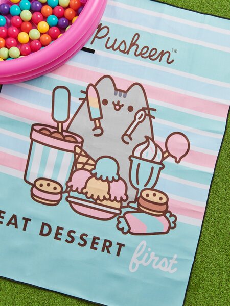 Sinsay - Deka Pusheen - vícebarevná