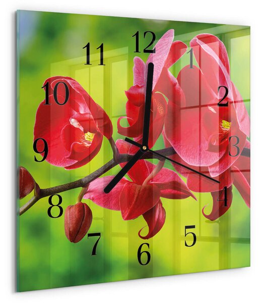 Skleněné hodiny na stěnu Orchidej zskc-30x30-00178795