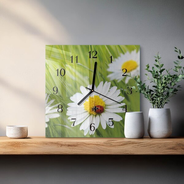 Skleněné hodiny na stěnu Sedmikrásky zskc-30x30-00172976