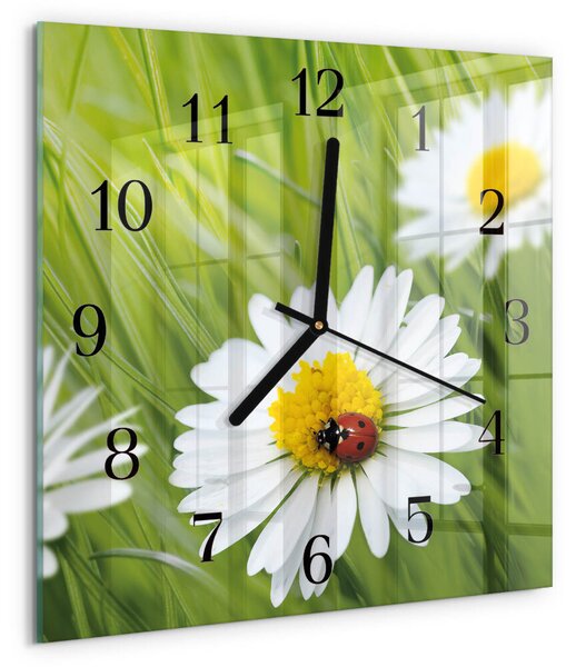 Skleněné hodiny na stěnu Sedmikrásky zskc-30x30-00172976