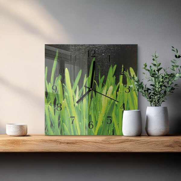 Skleněné hodiny na stěnu Tráva zskc-30x30-00182390