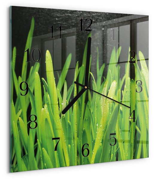 Skleněné hodiny na stěnu Tráva zskc-30x30-00182390