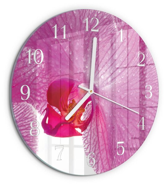 Skleněné hodiny na stěnu Orchidej zsob-fi30-00086356