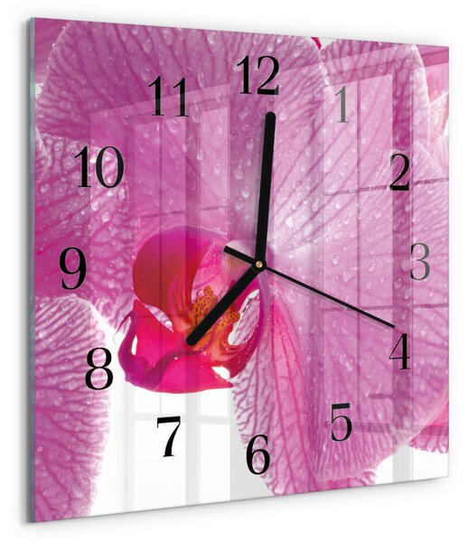 Skleněné hodiny na stěnu Orchidej zskc-30x30-00178018