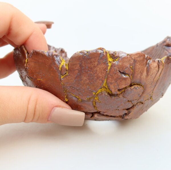 E-bonsai Keramická Skořápka 11 x 10 x 6 cm žlutá