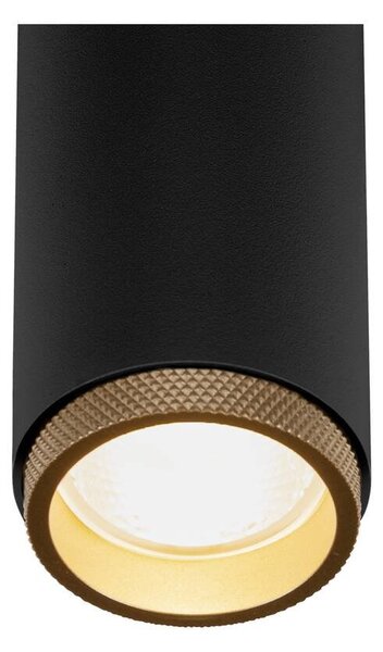 LA 1008446 GRIP! M 3~ spot, válcový, 2000-3000K, 15W, dim-to-warm, PHASE, 42°, černý / zlatý - BIG WHITE (SLV)