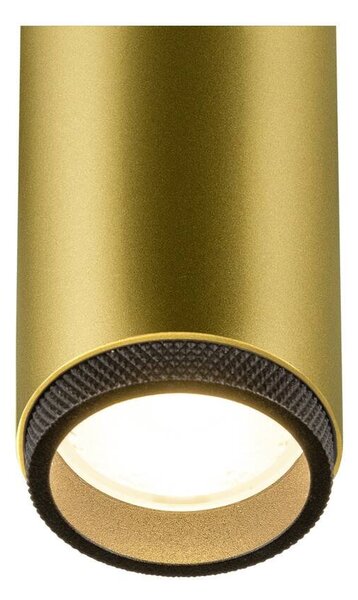 LA 1008429 GRIP! M 1~ spot, válcový, 3000K, 20W, PHASE, 42°, zlatý / černý - BIG WHITE (SLV)