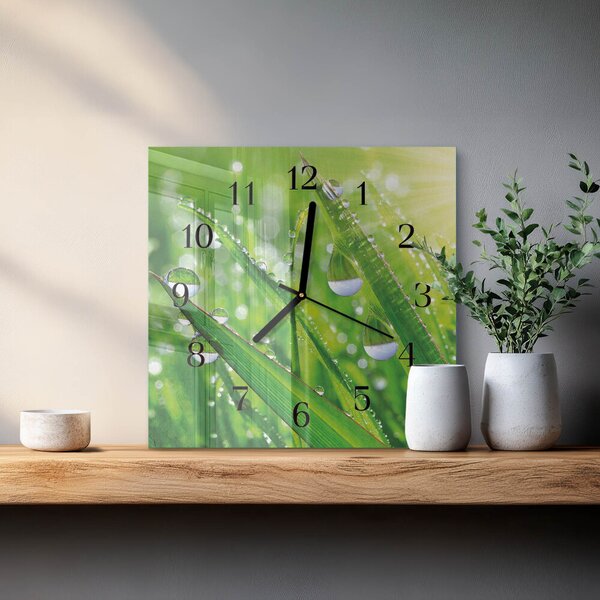 Skleněné hodiny na stěnu Rosa zskc-30x30-00178545
