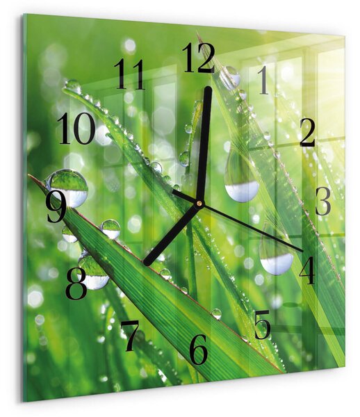 Skleněné hodiny na stěnu Rosa zskc-30x30-00178545