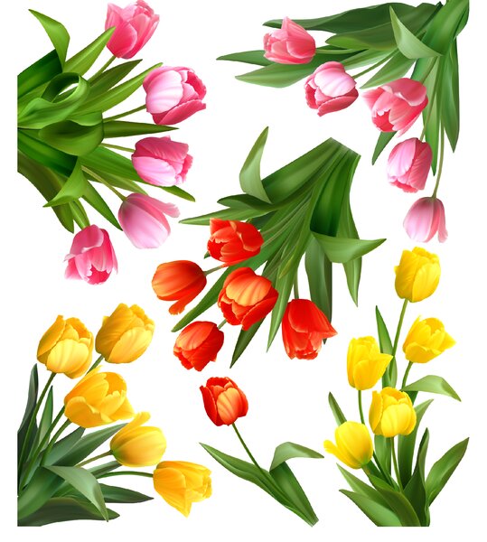PIPPER. Samolepka na zeď "Tulipány"