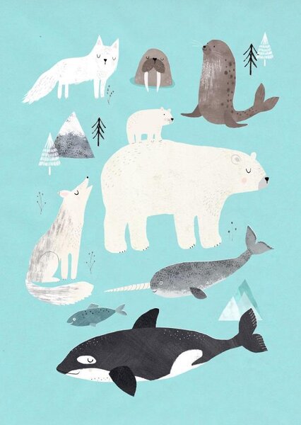 Plakát Artic animals 50 x 70 cm