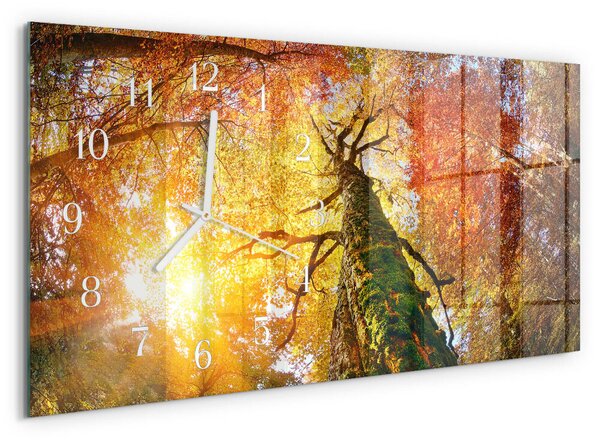 Skleněné hodiny horizontální Podzim zsppb-60x30-00295286