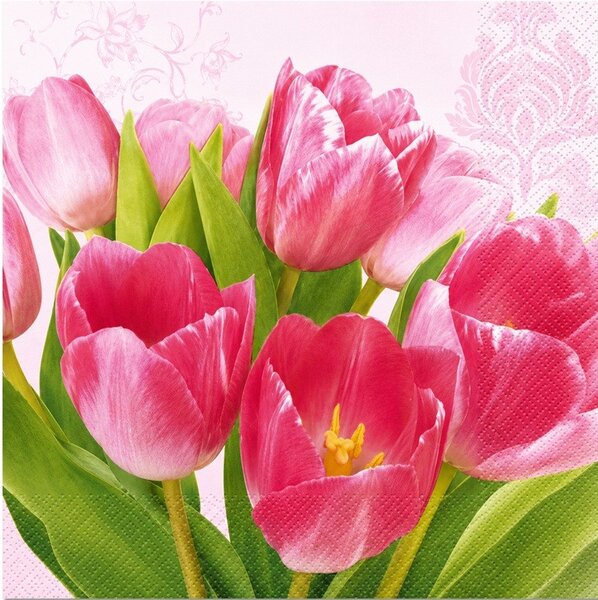 Ubrousky Růžové tulipány 3400430