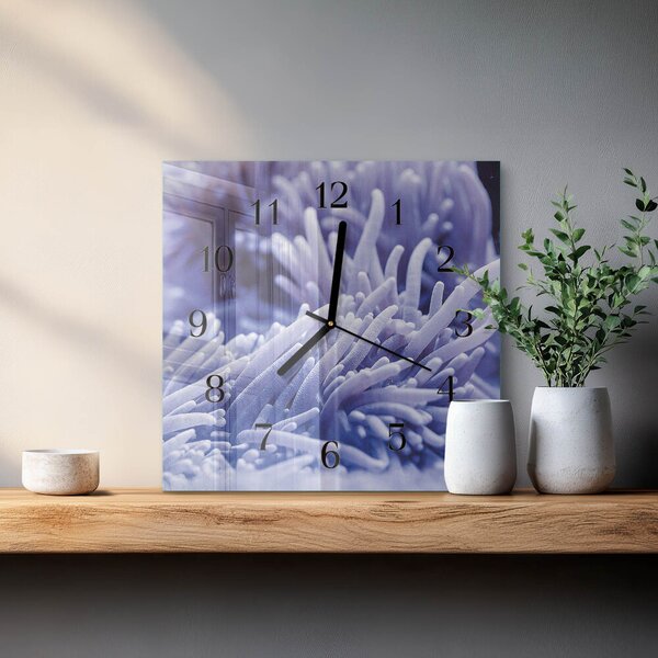Skleněné hodiny na stěnu Sasanka zskc-30x30-00178508