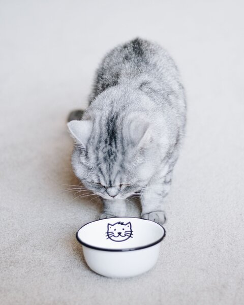 Menší smaltovaná miska Cat