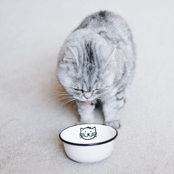 Menší smaltovaná miska Cat