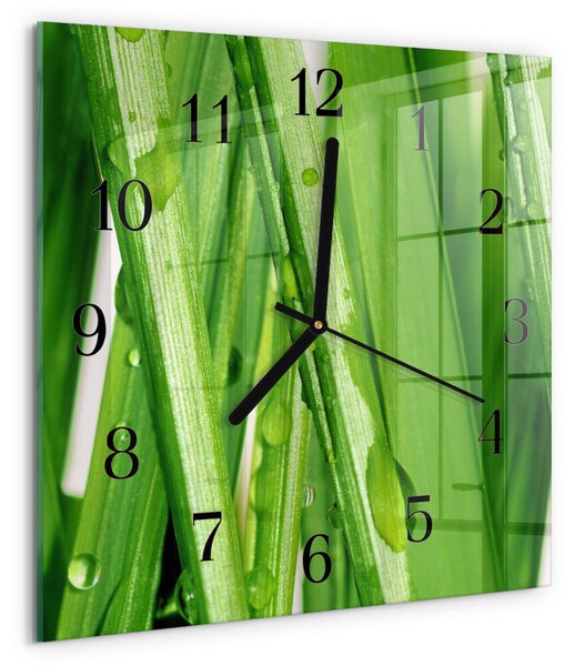 Skleněné hodiny na stěnu Tráva zskc-30x30-00177387