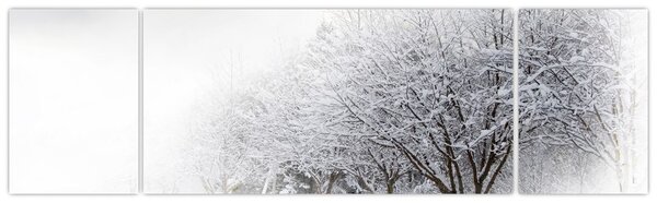 Obraz - Zimní alej (170x50 cm)