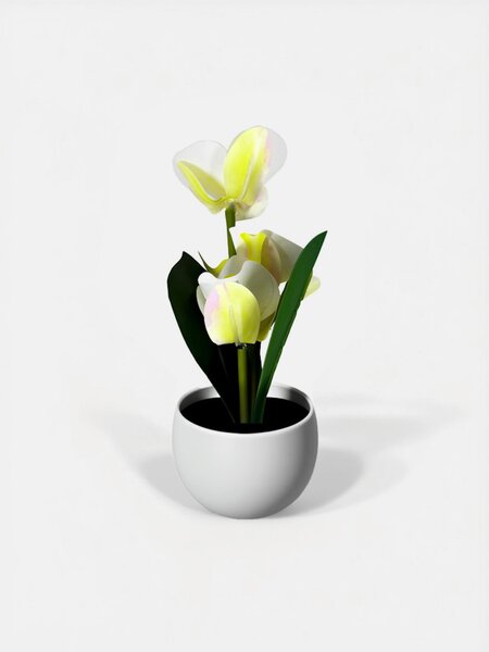 Sinsay - Dekorativní rostlina v květináči – orchidej - krémová