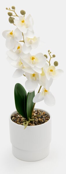 Sinsay - Umělá okrasná orchidej v květináči - bílá