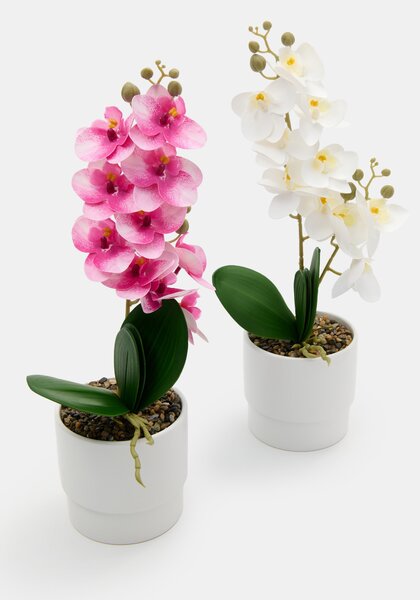 Sinsay - Umělá okrasná orchidej v květináči - růžová