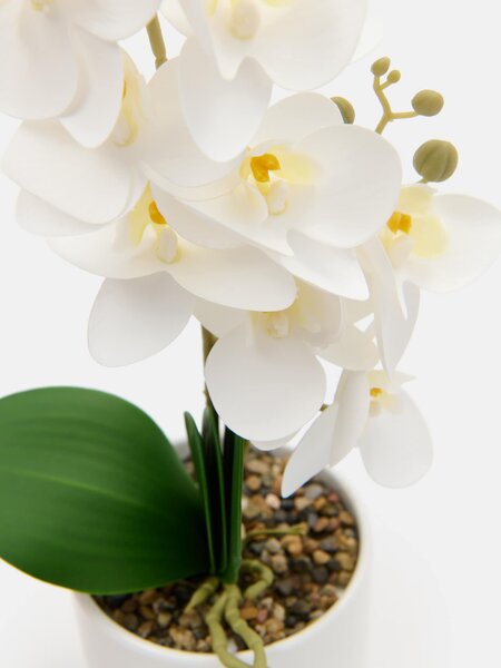 Sinsay - Umělá okrasná orchidej v květináči - bílá