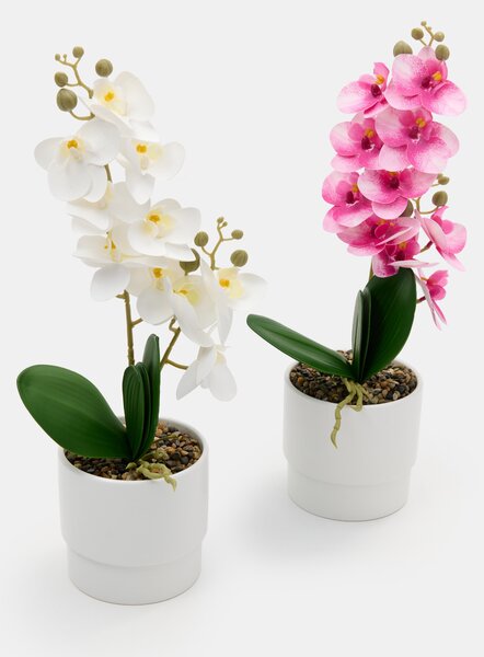 Sinsay - Umělá okrasná orchidej v květináči - bílá