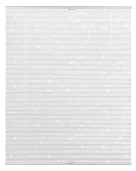 Lichtblick Plisovaná roleta, od 45 x 130 cm (účinek: rostlina, 70 x 130 cm) (100333497012)