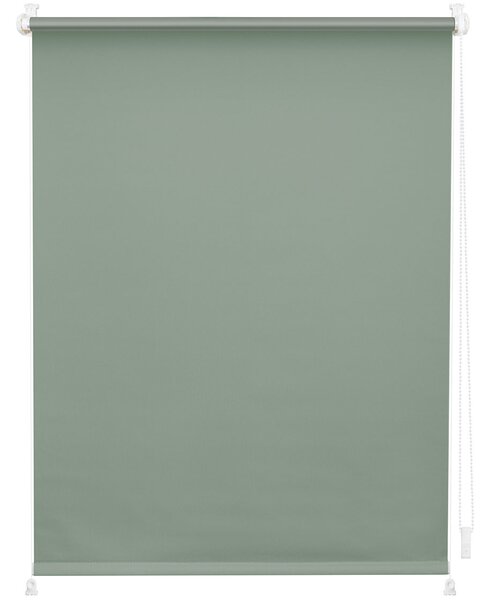 Lichtblick Roleta, od 45 x 150 cm (šalvějová) (100333572019)