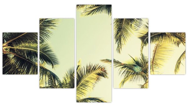 Obraz s kokosovými palmami (125x70 cm)