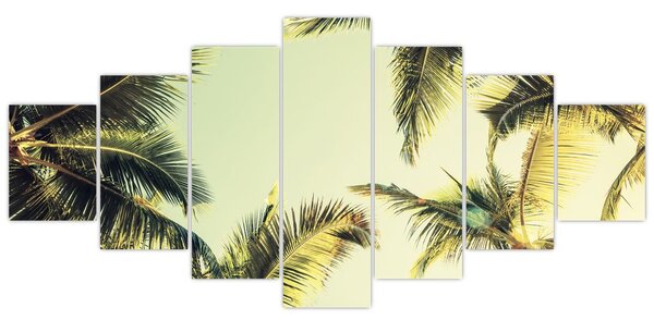 Obraz s kokosovými palmami (210x100 cm)