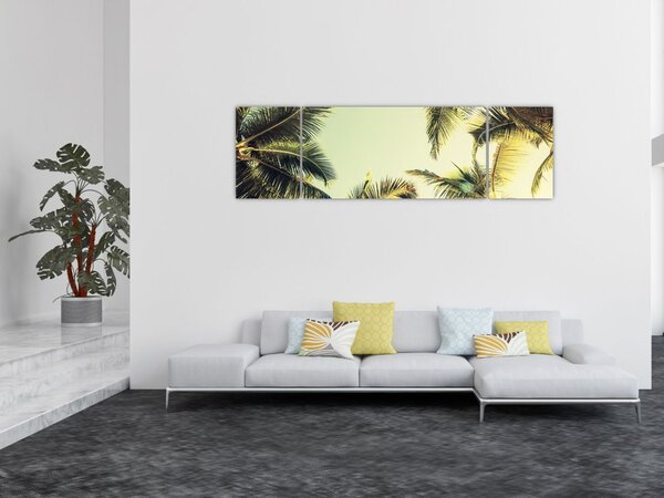 Obraz s kokosovými palmami (170x50 cm)