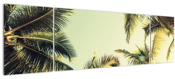 Obraz s kokosovými palmami (170x50 cm)