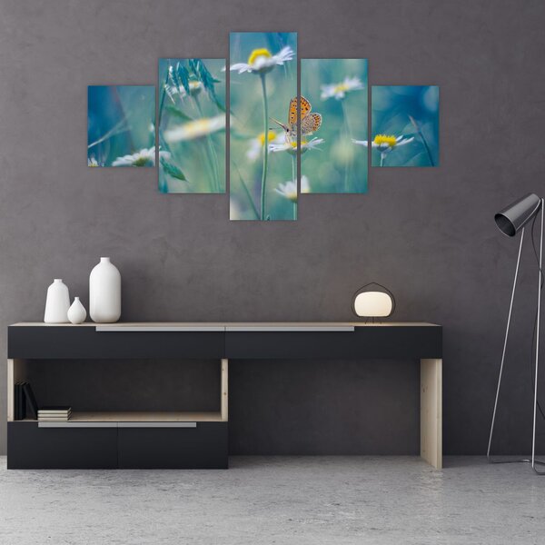 Obraz - Motýl na sedmikrásce (125x70 cm)
