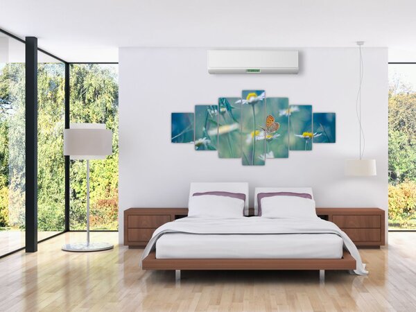 Obraz - Motýl na sedmikrásce (210x100 cm)