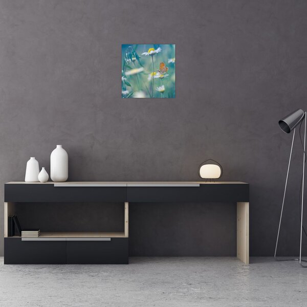 Obraz - Motýl na sedmikrásce (30x30 cm)