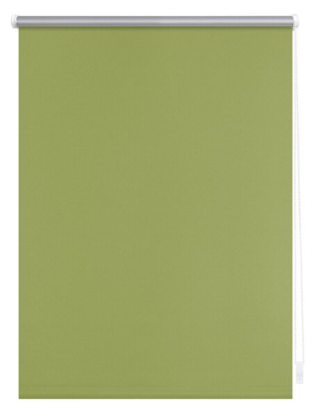Lichtblick Termo zatemňovací roleta, od 45 x 150 cm (zelená, 50 x 150 cm) (100312502079)