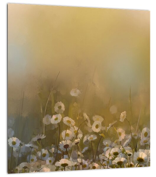 Obraz - Olejomalba sedmikrásek (30x30 cm)