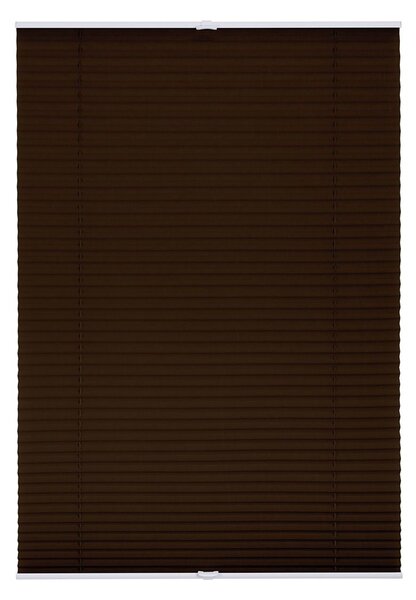 Lichtblick Plisovaná roleta, od 45 x 130 cm (hnědá) (100313038016)