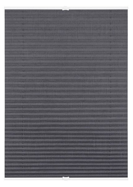 Lichtblick Plisovaná roleta, od 45 x 130 cm (šedá) (100313038091)