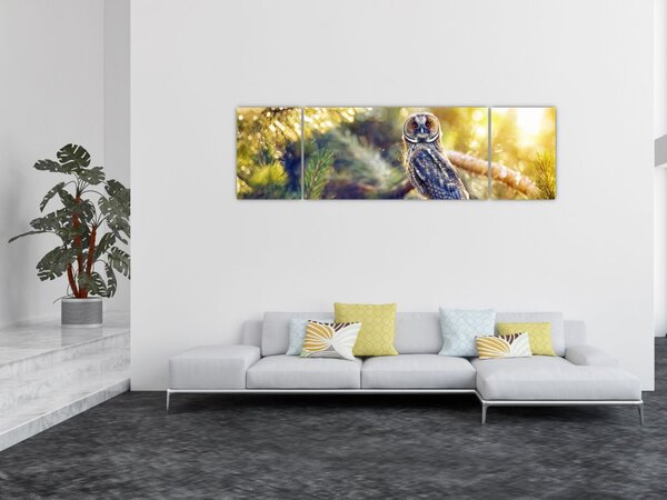 Obraz sovy na stromě (170x50 cm)