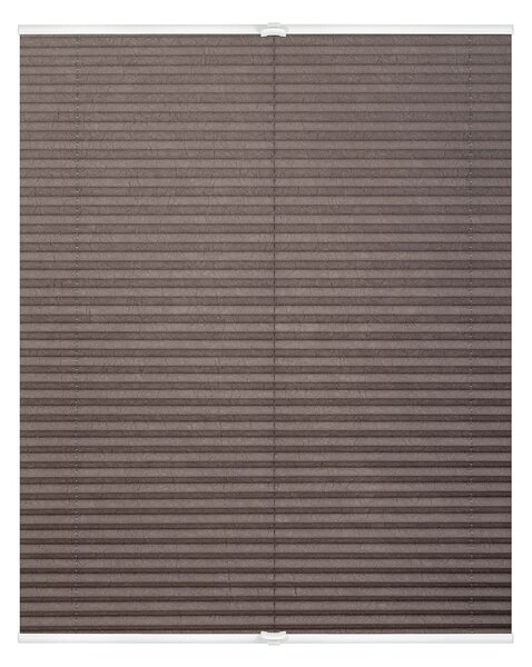 Lichtblick Plisovaná roleta, od 45 x 130 cm (šedohnědá) (100313038122)