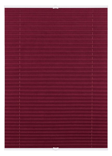 Lichtblick Plisovaná roleta, od 45 x 130 cm (ostružinová) (100313038106)