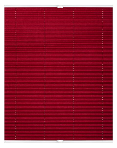 Lichtblick Plisovaná roleta, od 45 x 130 cm (ostružinová, 95 x 130 cm) (100313038169)