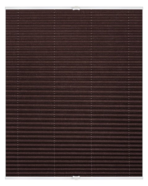 Lichtblick Plisovaná roleta, od 45 x 130 cm (hnědá, 50 x 130 cm) (100313038132)