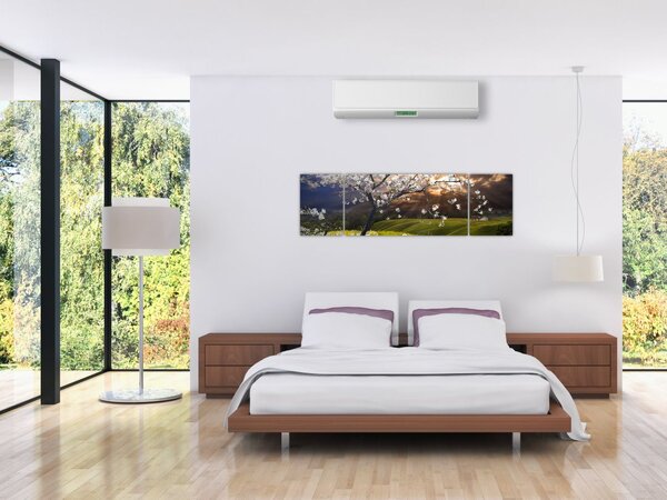 Obraz - Rozkvetlý strom v krajině (170x50 cm)