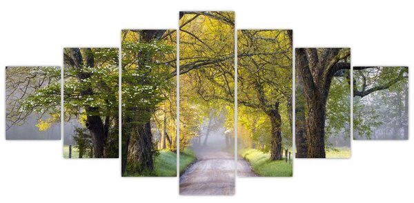 Obraz - Smoky Mountains, Gatlinburg, USA (210x100 cm)
